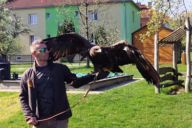 Obrázek č.19